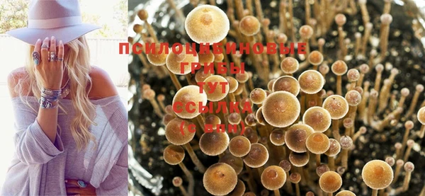 герыч Бугульма
