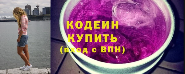 крисы Бронницы
