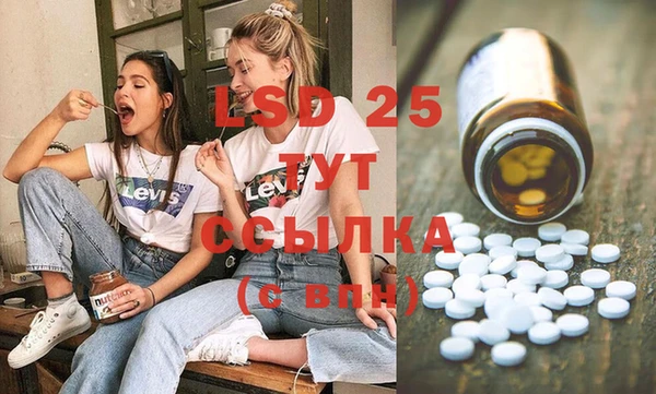 крисы Бронницы