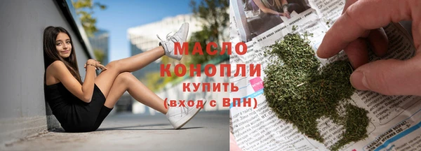 крисы Бронницы