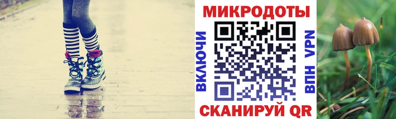 ОМГ ОМГ как войти  Чита  Псилоцибиновые грибы мицелий 